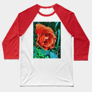 Orange Chinese Rose Baseball T-Shirt